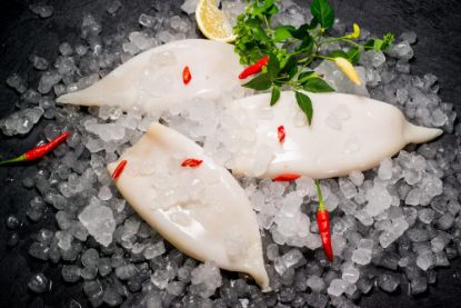 Bild von Tintenfischtuben