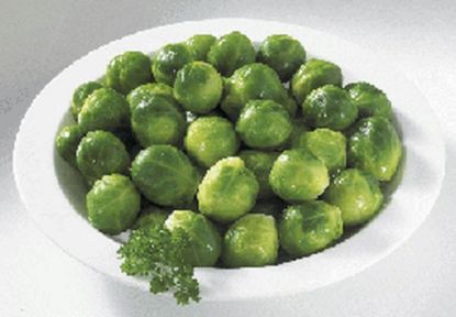 Bild von Rosenkohl 25/32mm mit der Beschreibung (Tifa)