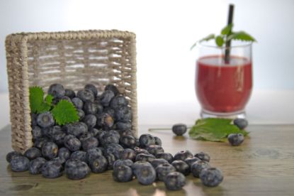 Bild von Heidelbeeren mit der Beschreibung lose rollend (Melzer)