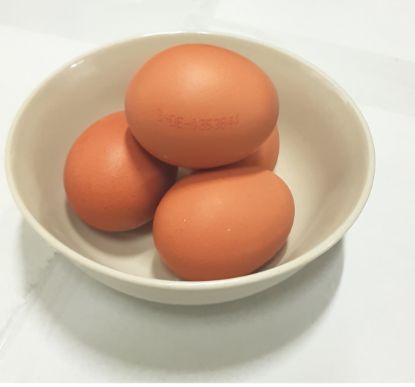 Bild von Eier M braun HKL A mit der Beschreibung Freiland