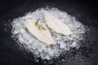 Bild von Heilbuttfilet schwarz 5 kg mit der Beschreibung ohne Haut 200/800G IQF