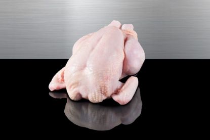 Bild von Griller poly 1200g mit der Beschreibung "Primus" HKL A