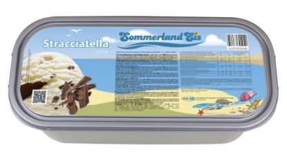 Bild von * Stracciatella Eis Sommerland