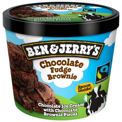 Bild von Chocolate Fudge Brownie mit der Beschreibung Sündhaft cremige Schokoladen-Eiscreme mit saftigen Brownie-Gebäckstücken.